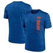 Florida Jordan Brand Dri-Fit Sideline Velocity Tee